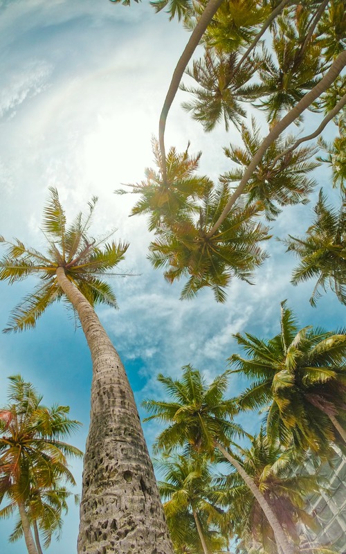 The Benefits Of Honeymoon Before Wedding + FAQs