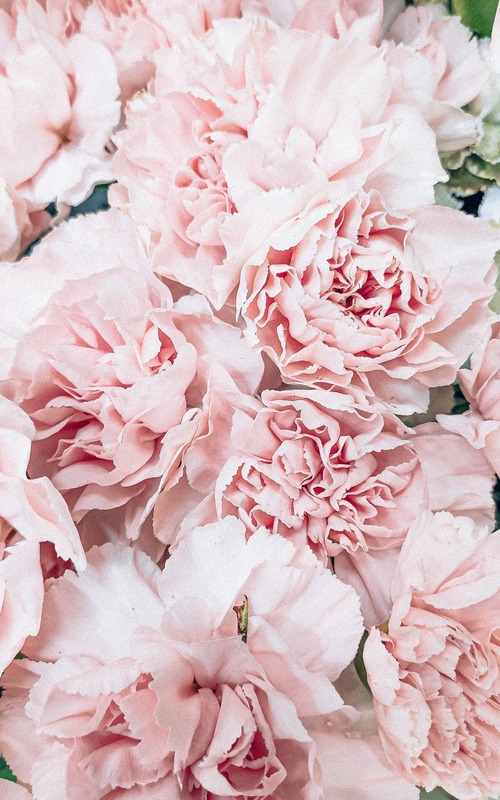 Pink wedding bouquets: Best Ideas + FAQs